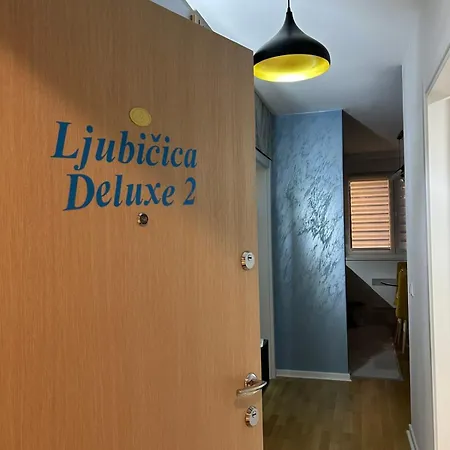 Ljubicica Deluxe 2, Sa Dvoristem I Parkingom アパート Vrnjačka Banja