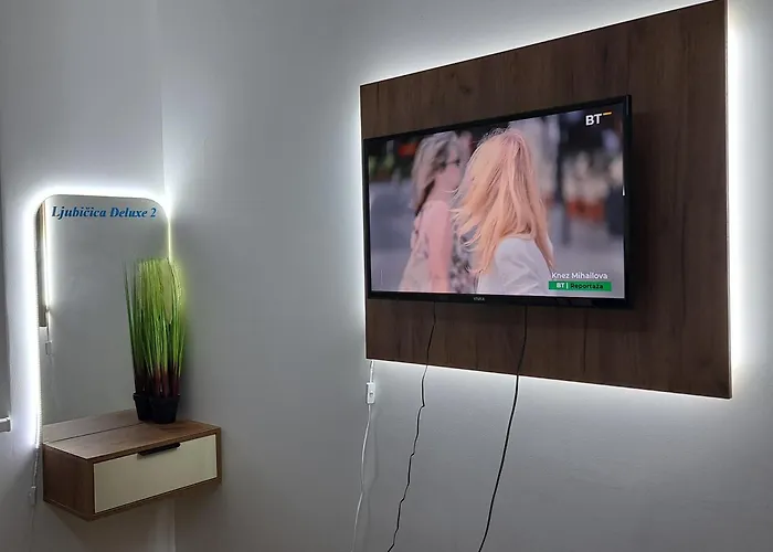 Ljubicica Deluxe 2, Sa Dvoristem I Parkingom شقة Vrnjačka Banja